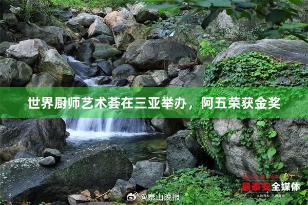 世界厨师艺术荟在三亚举办，阿五荣获金奖