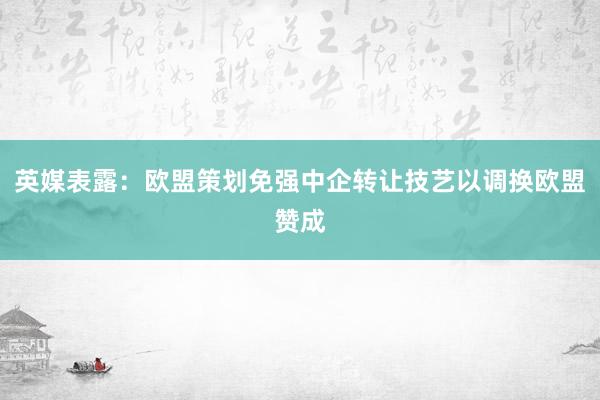 英媒表露：欧盟策划免强中企转让技艺以调换欧盟赞成